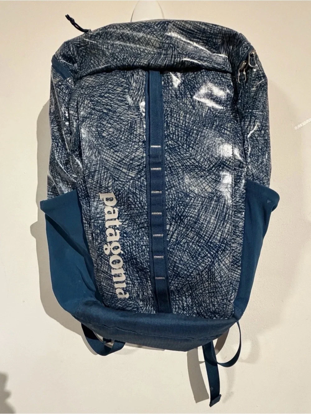 Patagonia Blue Patterned Everyday Backpack